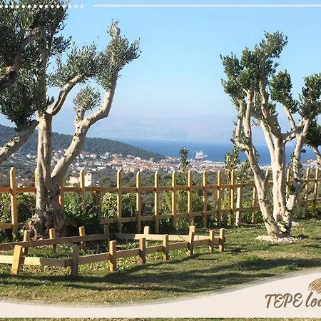 Tepe キャンプ場 *