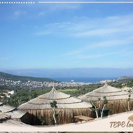 Tepe *