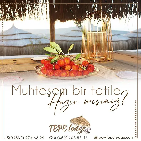 Tepe Campingplads